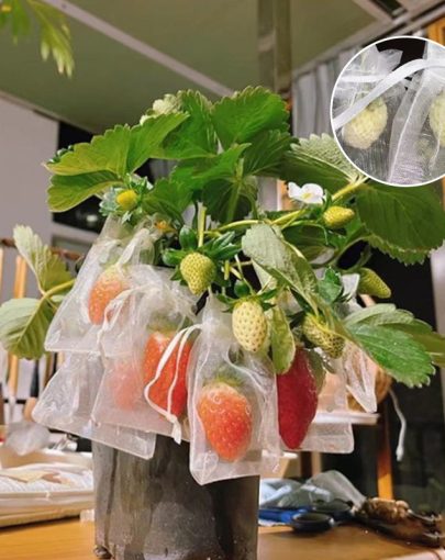 Protective Mesh Cover for Fruit Trees 50% OFF